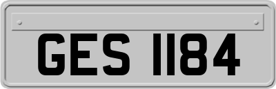 GES1184