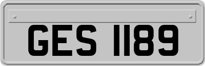 GES1189