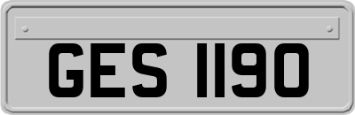 GES1190