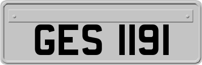 GES1191