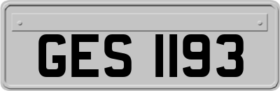 GES1193