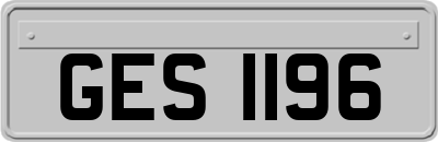 GES1196