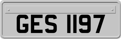GES1197