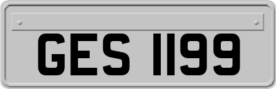 GES1199
