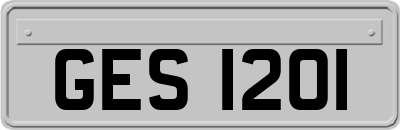 GES1201