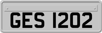 GES1202