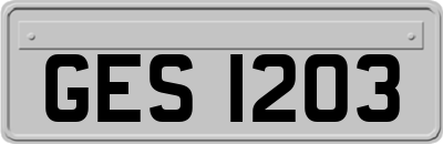 GES1203
