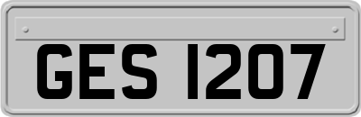GES1207