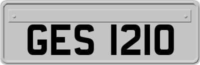 GES1210