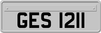 GES1211