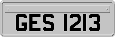 GES1213