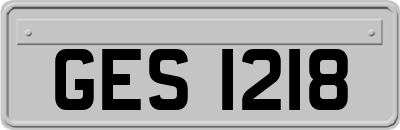 GES1218