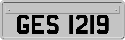GES1219