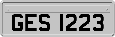 GES1223