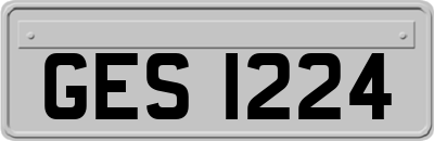 GES1224