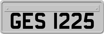 GES1225