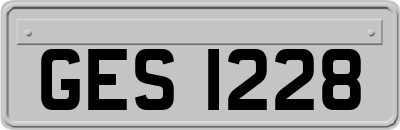 GES1228