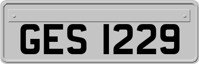 GES1229