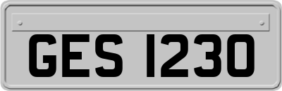 GES1230