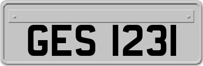 GES1231