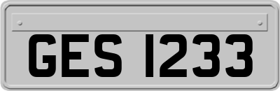 GES1233