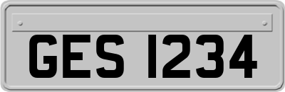 GES1234