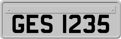 GES1235