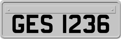 GES1236