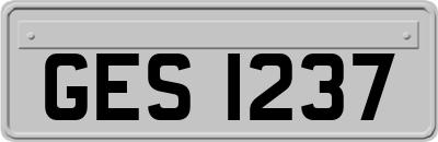 GES1237