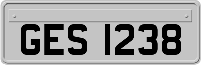 GES1238
