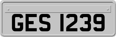 GES1239