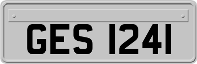 GES1241