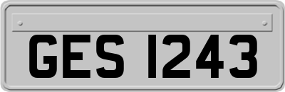 GES1243