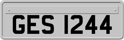 GES1244