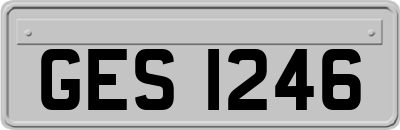 GES1246