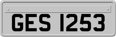 GES1253
