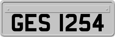 GES1254