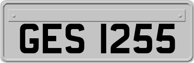 GES1255