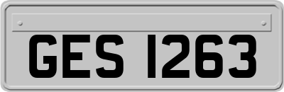 GES1263