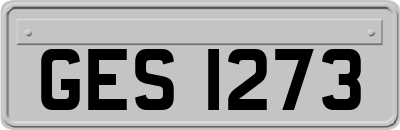 GES1273