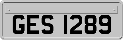 GES1289