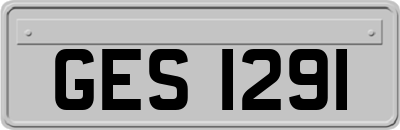 GES1291