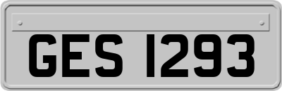 GES1293