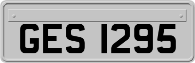 GES1295