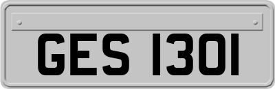 GES1301