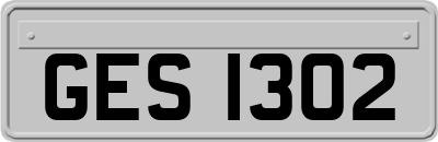 GES1302