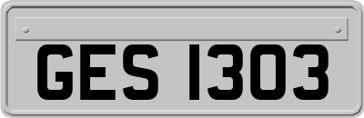 GES1303