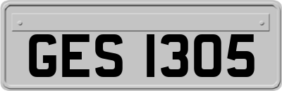 GES1305