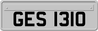 GES1310