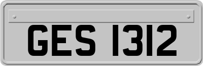 GES1312